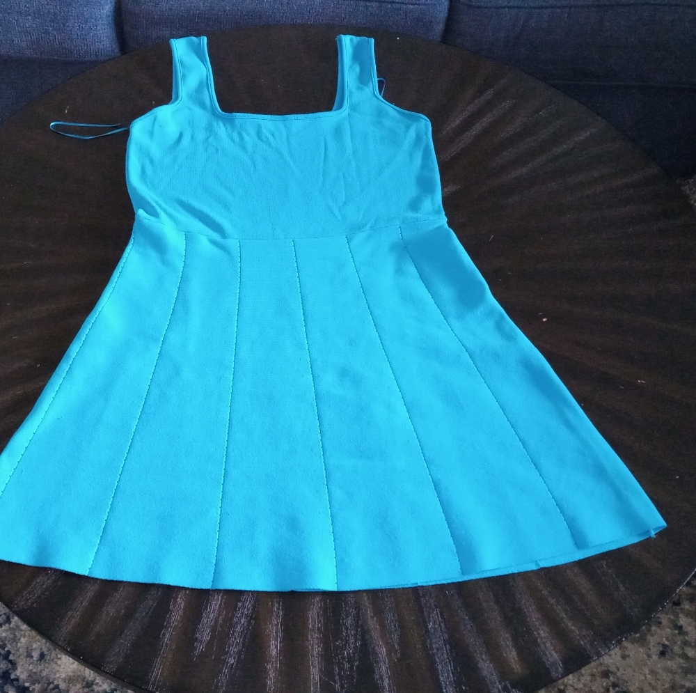 Zara skater dress